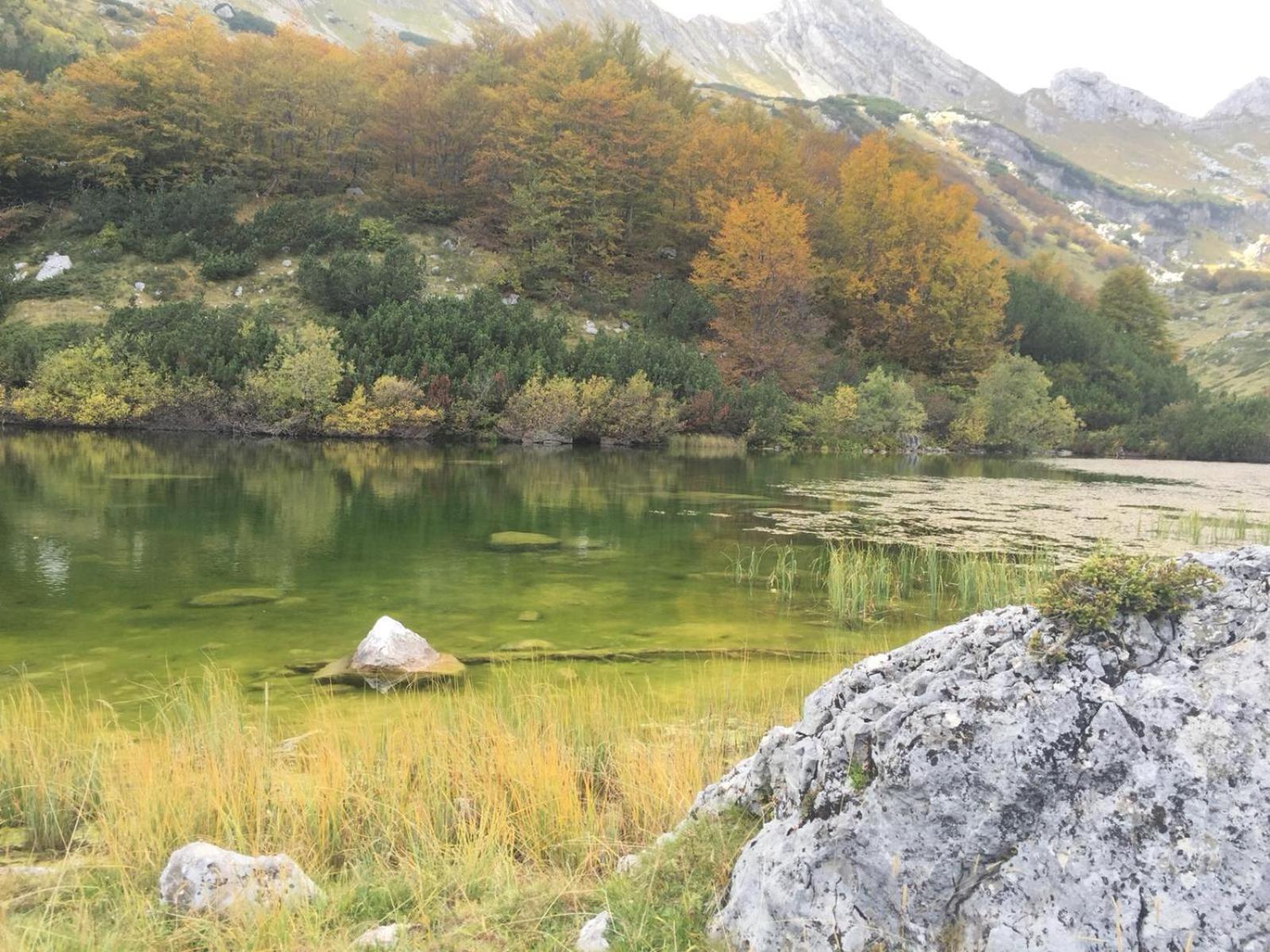 Chalet Kovacevic Žabljak Exteriér fotografie