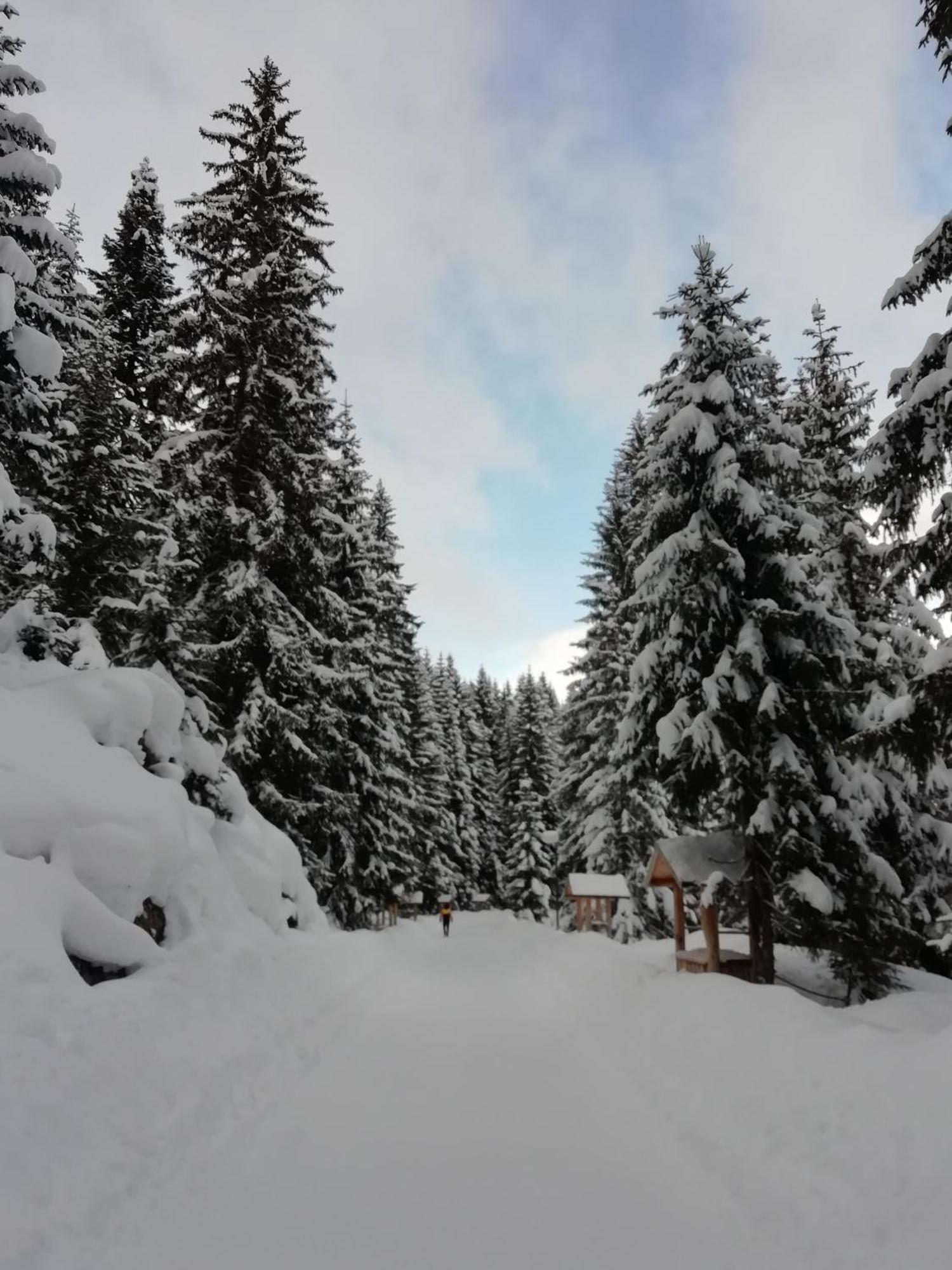 Chalet Kovacevic Žabljak Exteriér fotografie